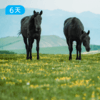 夏季克什克腾草原徒步节｜42公里入门徒步 一次走遍六大地貌 大兴安岭之巅｜6日 商品缩略图3