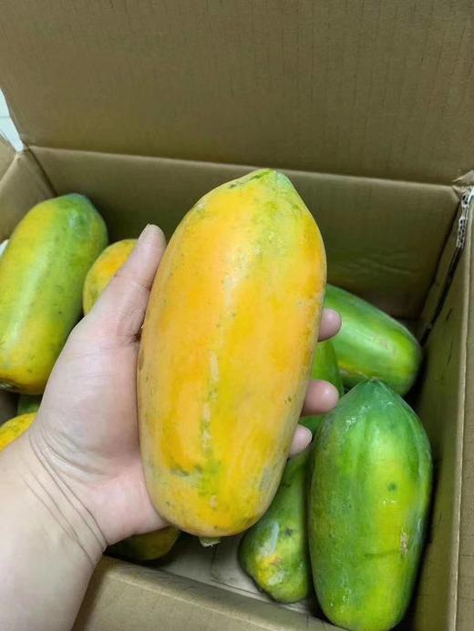 冰糖红心木瓜4.5-5斤/2-4个彩箱装 商品图4