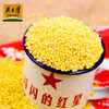 黄土情真空装大黄米500g*3 商品缩略图3