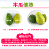 冰糖红心木瓜4.5-5斤/2-4个彩箱装 商品缩略图5