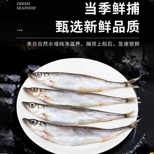挪威进口·满籽多春鱼 | 深海捕捞 99%满腹黄金籽 刺少肉嫩高蛋白 适合香煎、烤制、油炸等多种烹饪方式 商品图5