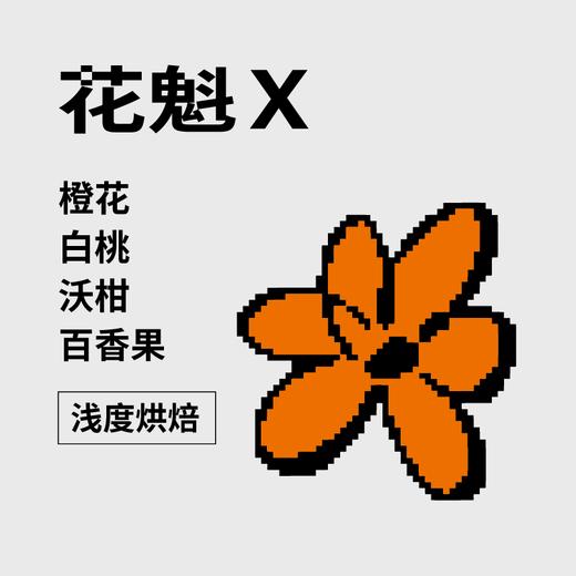 【手冲咖啡】花魁X丨埃塞俄比亚 商品图0