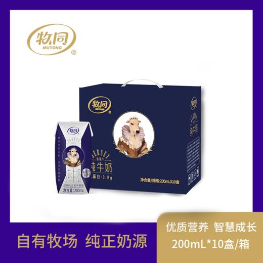 牧同娟姗奶绵密醇厚纯牛奶贵族优惠装 商品图0
