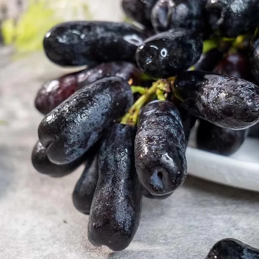 【蓝宝石•金手指黑提】EMS空运 脆爽可口 脆甜无核 无籽蓝宝石 美人指葡萄 黑加仑水果 3种规格任选 商品图5