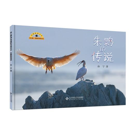 风之翼 导演的鸟类日记 9787303300815 孙宁/著 风之翼 导演的鸟类日记 北京师范大学出版社 商品图1