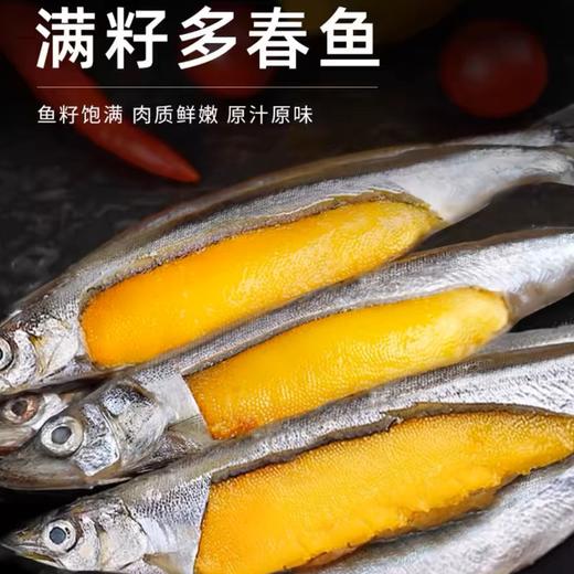 挪威进口·满籽多春鱼 | 深海捕捞 99%满腹黄金籽 刺少肉嫩高蛋白 适合香煎、烤制、油炸等多种烹饪方式 商品图8