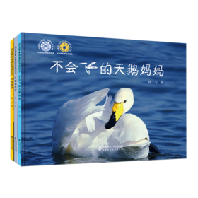 风之翼 导演的鸟类日记 9787303300815 孙宁/著 风之翼 导演的鸟类日记 北京师范大学出版社