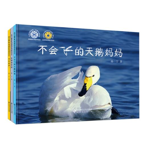 风之翼 导演的鸟类日记 9787303300815 孙宁/著 风之翼 导演的鸟类日记 北京师范大学出版社 商品图0