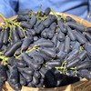 【蓝宝石•金手指黑提】EMS空运 脆爽可口 脆甜无核 无籽蓝宝石 美人指葡萄 黑加仑水果 3种规格任选 商品缩略图0