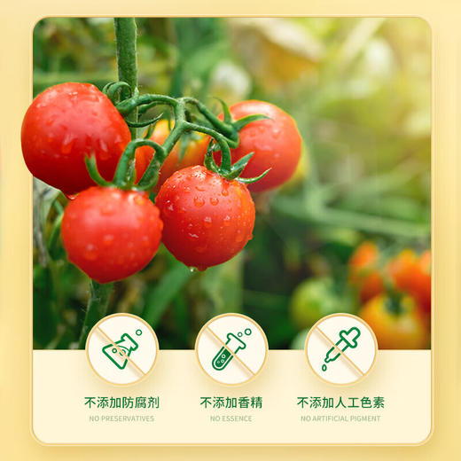 爷爷的农场儿童番茄酱进口调味 汉堡意面 宝宝拌饭料酱 【百搭美食】番茄酱310g 商品图2