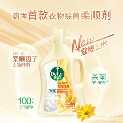 滴露Dettol3合1衣物柔顺液阳光金盏花2.5L多种组合 商品图1