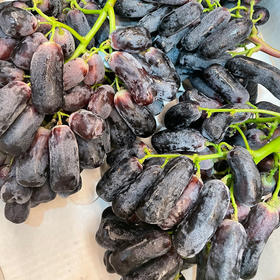 国产美人指  2斤