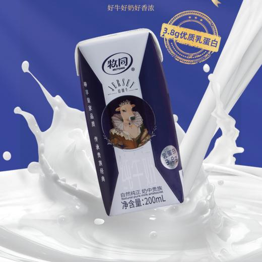 牧同娟姗奶绵密醇厚纯牛奶贵族优惠装 商品图4