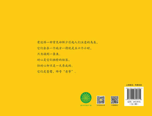 风之翼 导演的鸟类日记 9787303300815 孙宁/著 风之翼 导演的鸟类日记 北京师范大学出版社 商品图9