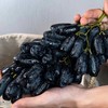 【蓝宝石•金手指黑提】EMS空运 脆爽可口 脆甜无核 无籽蓝宝石 美人指葡萄 黑加仑水果 3种规格任选 商品缩略图2