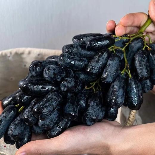 【蓝宝石•金手指黑提】EMS空运 脆爽可口 脆甜无核 无籽蓝宝石 美人指葡萄 黑加仑水果 3种规格任选 商品图2