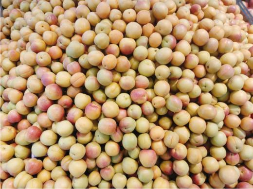 吊干杏一斤 商品图1