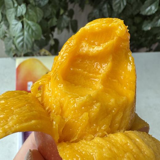 海南蜜香妃芒果 商品图4