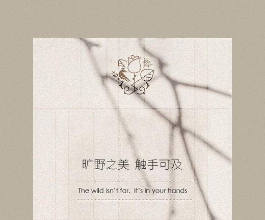 测试新品发售 商品图0