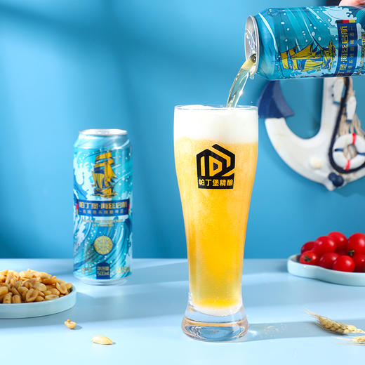 帕丁堡海丝启航精酿啤酒 500ml*12瓶/件 【臻选好酒】 商品图7