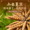 【冬虫夏草干货】新采新干 品质甄选 虫体饱满完整 干度好 纹理清晰可见 食用方法多样 10g/盒 商品缩略图6
