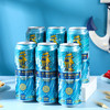 帕丁堡海丝启航精酿啤酒 500ml*12瓶/件 【臻选好酒】 商品缩略图6