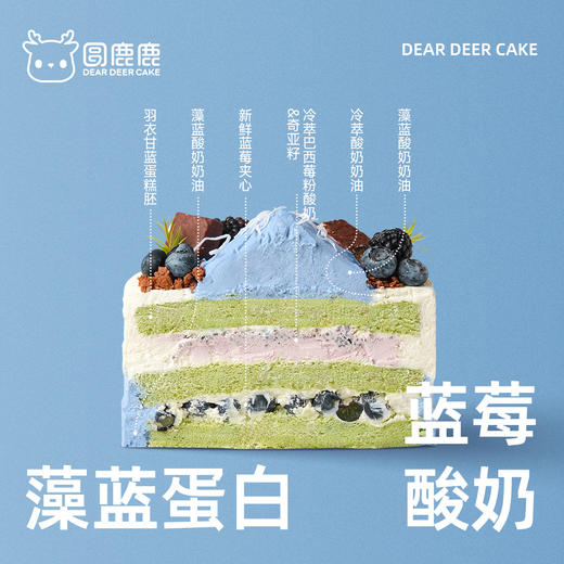 藻蓝蛋白蓝莓酸奶 商品图2