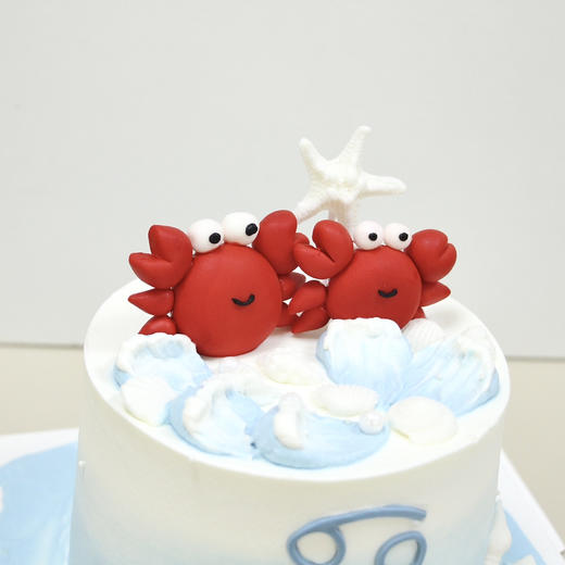 【夏日蟹逅】巨蟹座 商品图1