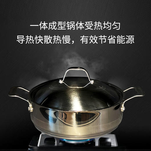 THRESHOLD欧德罗28cm双耳炆鸡煲 商品图1