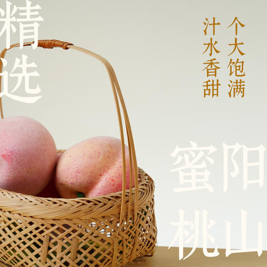 苏州桥 阳山水蜜桃米露/荔枝米露 750ml*2瓶 米酒 商品图4