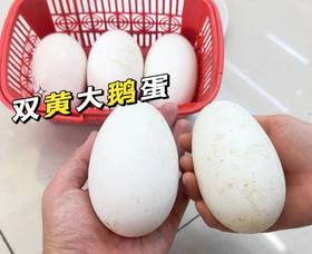 双黄大鹅蛋（6枚装）