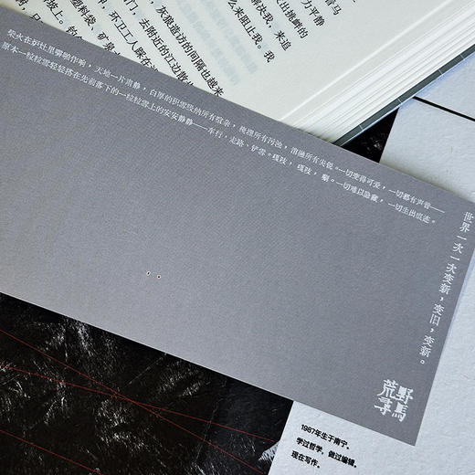 荒野寻马 真正的自由 是允许自己成为一粒雪 商品图3