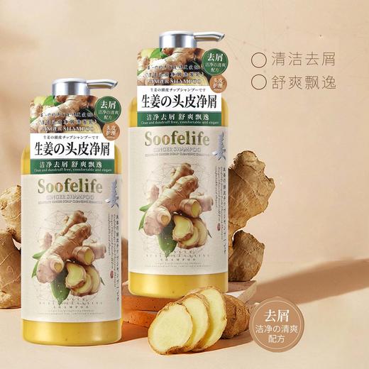 舒芬妮生姜头皮净屑洗发乳800ml（满一件赠同品洗发乳10ml） 商品图0