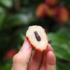 增城  仙进奉   荔枝 商品缩略图0