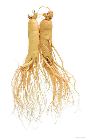 人参。50克。 买一送一