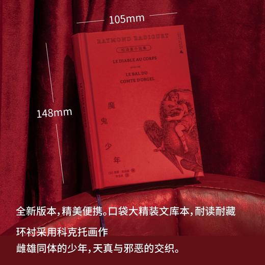 魔鬼少年：拉迪盖小说集|三岛由纪夫、卡尔维诺、毕加索、波伏瓦、纪德为之倾倒。 17岁横空出世，20岁殒落，100年后作品亮相2024年巴黎奥运会开幕式，成为法兰西禁忌爱情的代名词！ 商品图5