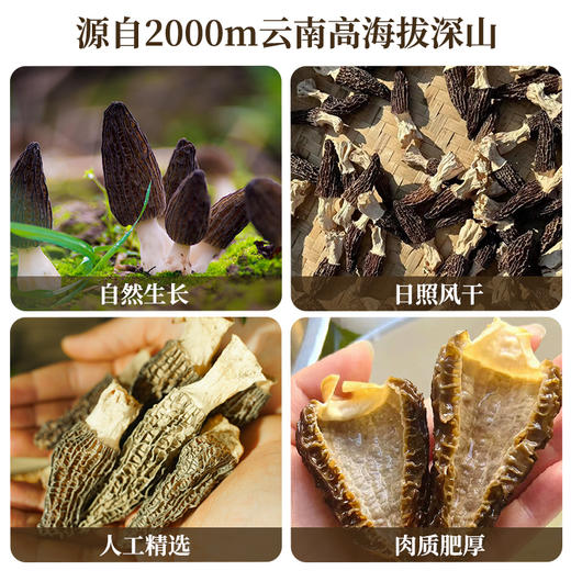 【云南高山有机羊肚菌】头茬新货 太阳自然晒干 精挑细选 大小均匀 纹路清晰 煲汤 炖煮 素炒皆可 2种规格任选 商品图2