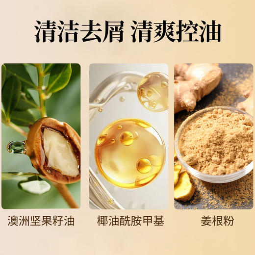 舒芬妮生姜头皮净屑洗发乳800ml（满一件赠同品洗发乳10ml） 商品图4