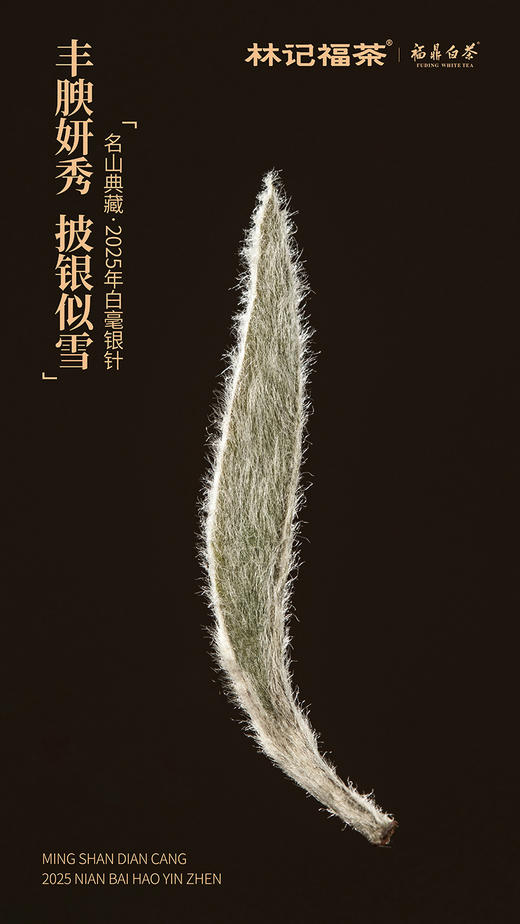 名山典藏·白毫银针2025·礼盒装80g(5g*2*8) 商品图8