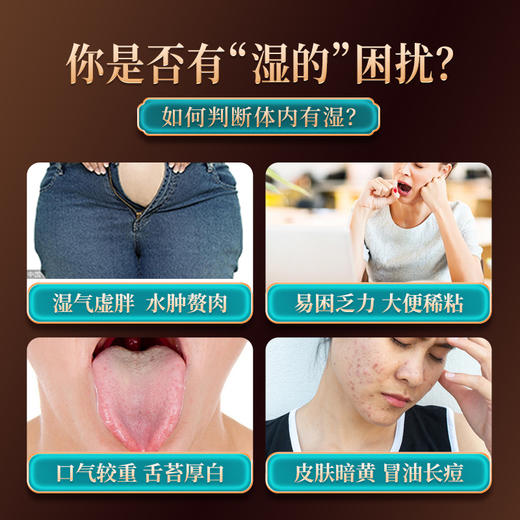 华北制药茯湿膏 商品图1