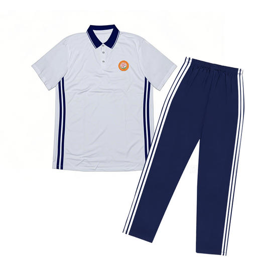 湖北省天门华泰中学夏季校服（下单备注年级+小孩姓名） 商品图0