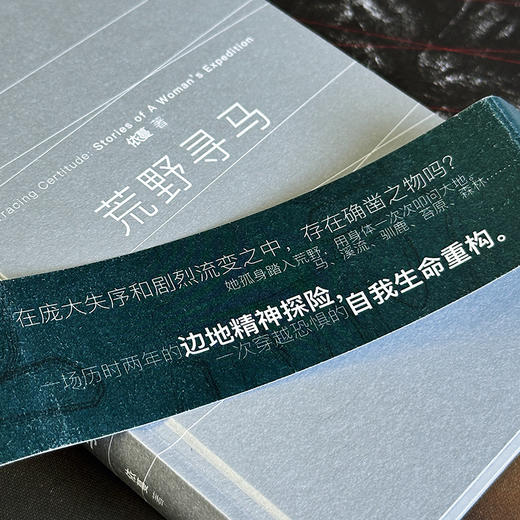 荒野寻马 真正的自由 是允许自己成为一粒雪 商品图2