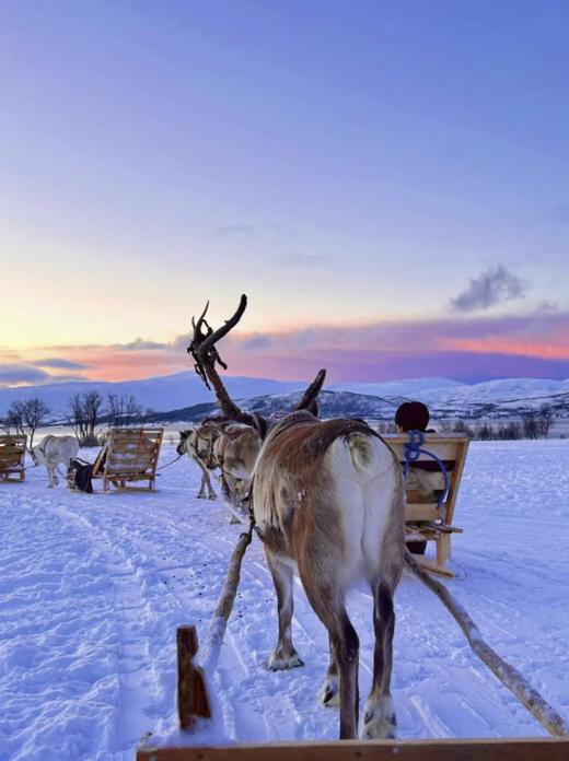 【25/26雪季】【12月9日-12月21日极光之旅】芬兰列维、禹拉斯、卢卡三大滑雪场极光夜滑之旅13天11晚 商品图8