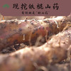 【铁棍山药】头茬山药 温县垆土铁棍 香甜面糯 肉质紧密 新鲜铁棍山药 3种规格任选 商品缩略图2