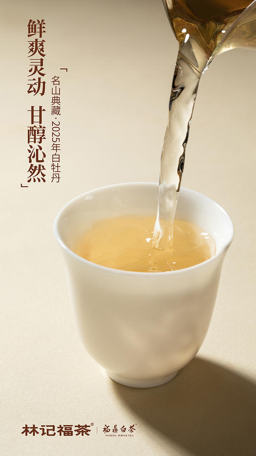 名山典藏·白牡丹2025·礼盒装80g(5g*2*8) 商品图8