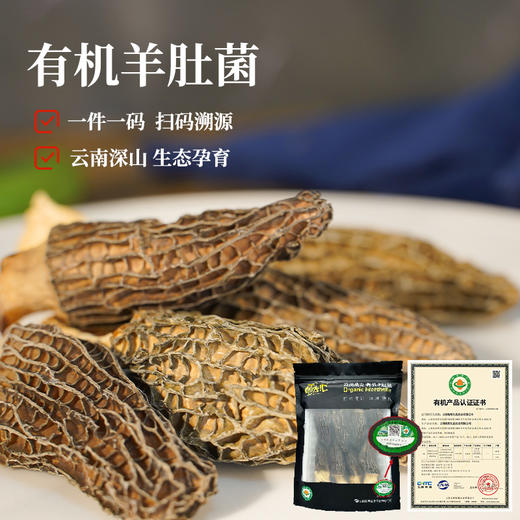 【云南高山有机羊肚菌】头茬新货 太阳自然晒干 精挑细选 大小均匀 纹路清晰 煲汤 炖煮 素炒皆可 2种规格任选 商品图1