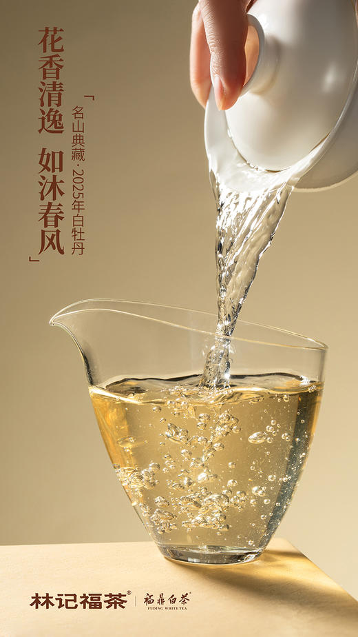 名山典藏·白牡丹2025·礼盒装80g(5g*2*8) 商品图9