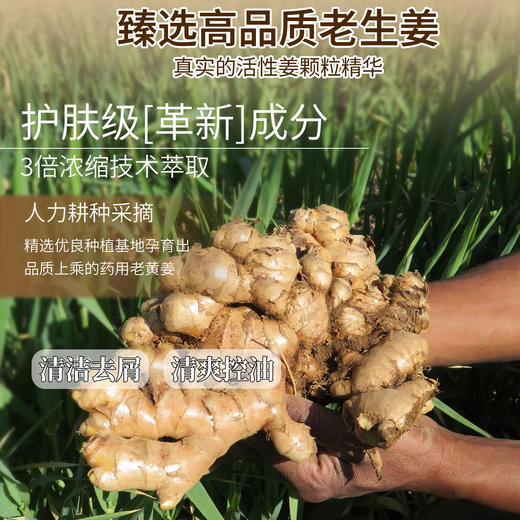 舒芬妮生姜头皮净屑洗发乳800ml（满一件赠同品洗发乳10ml） 商品图3