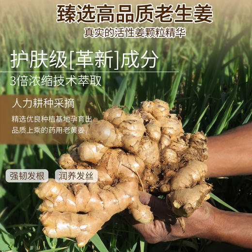 舒芬妮生姜防断髪控油洗发乳800ml（满一件赠同品洗发乳10ml） 商品图3