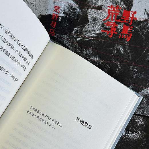 荒野寻马 真正的自由 是允许自己成为一粒雪 商品图4
